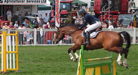 Staffordshire County Showground - Showground in Stafford, Stafford - Enjoy Staffordshire