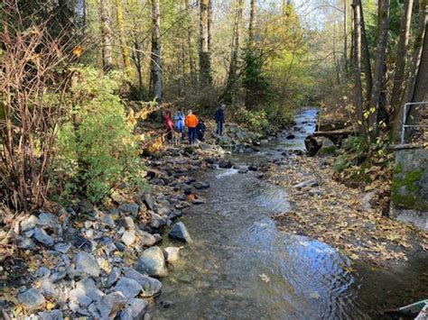 Short film: get to know Stoney Creek and its protectors