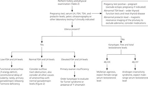 Amenorrhea: An Approach to Diagnosis and Management | AAFP