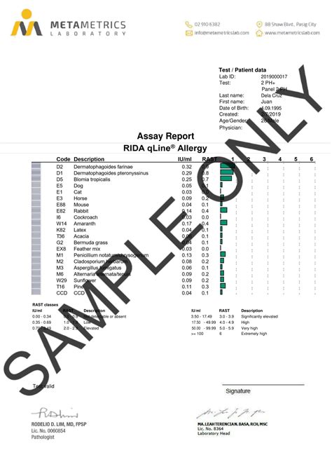 Allergy Test (IgE Test) - MetaMetrics Laboratory