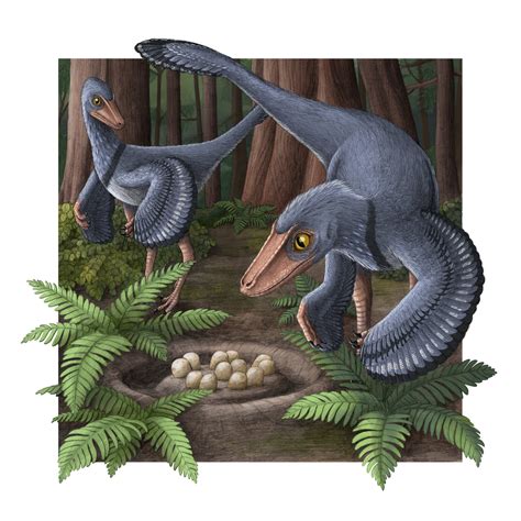 Troodon | Prehistoric Wiki | Fandom