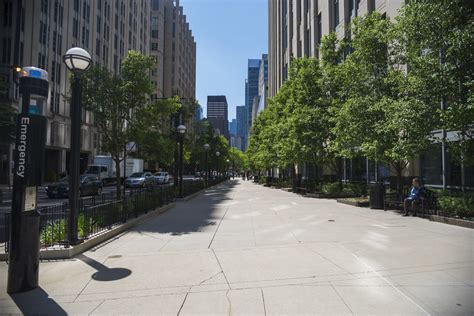 Northwestern University Chicago Campus Streetscape — TERRA Engineering