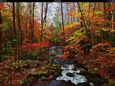 Pin by Cat Grist on Beautiful landscapes | Smoky mountain national park, Great smoky mountains ...