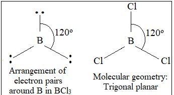 What is the value of the bond angles in BCl3? | Homework.Study.com