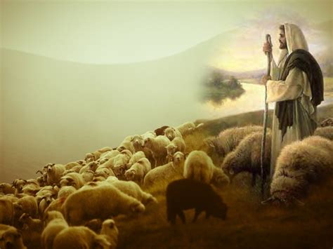 Our Good Shepherd - It's Not About Me, It's About Jesus