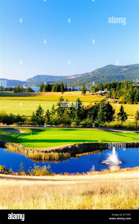 Arbutus ridge golf club hi-res stock photography and images - Alamy