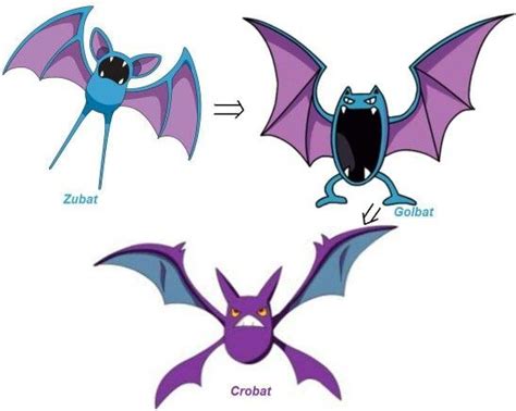 Zubat Evolution | Pokémon desenho, Pokemon, Desenho