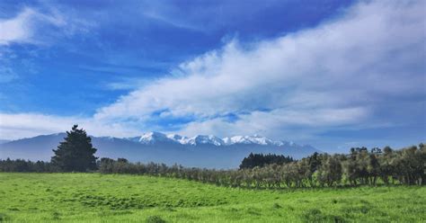 THE SCENIC KAIKOURA PENINSULA WALKWAY (101 GUIDE)