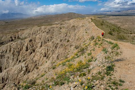 10 Expert-Recommended Palm Springs Hiking Trails for All Levels