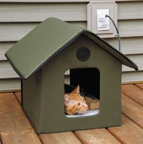 How you can build a stray cat shelter for these freezing nights ...