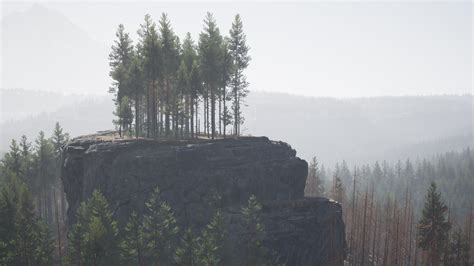 Misty foggy mountain landscape with fir forest 5629811 Stock Video at ...