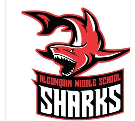 The Storm, Aviators, Astronauts or Sharks? Algonquin Middle School's Indians mascot on track to ...