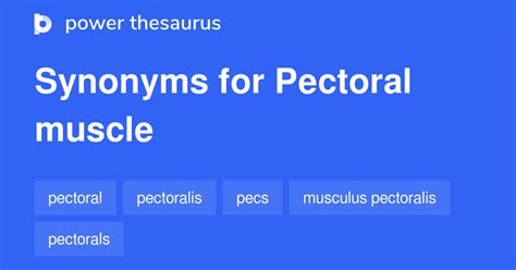 Pectoral Muscle synonyms - 9 Words and Phrases for Pectoral Muscle