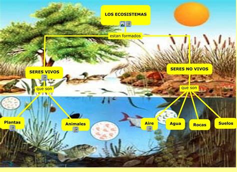 Ecosistema Acuático: Ecosistema