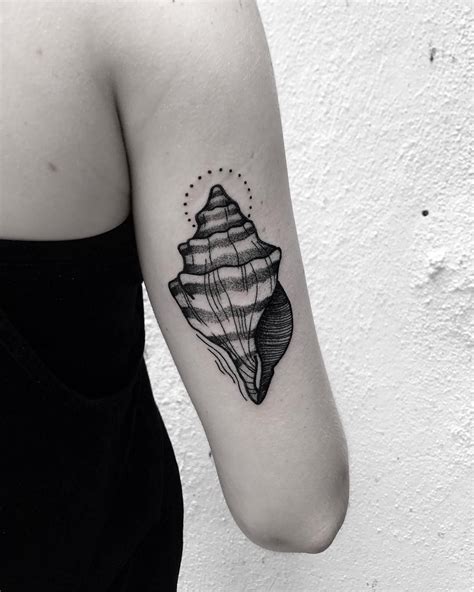 Sea shell Tattoo Ideas Pinterest Tattoos Shell tattoos | Shell tattoos ...