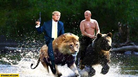 Putin rides a bear, Trump rides Lion | Apocalypse books, Horsemen of the apocalypse, Bear gif