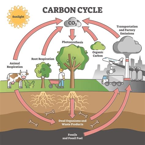 Soil Carbon Sequestration - Can it mitigate climate change?