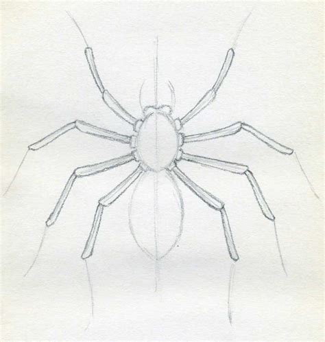 How To Draw A Spider Diagram