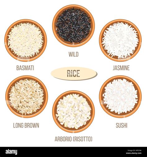 Different types of rice in ceramic bowls. Basmati, wild, jasmine Stock Vector Art & Illustration ...