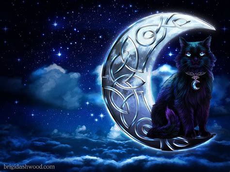 Black Cat Moon HD wallpaper | Pxfuel