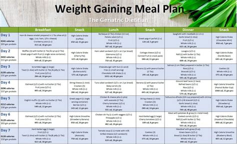 Free Weight Gaining Meal Plan - The Geriatric Dietitian Tips To Gain Weight, Weight Gain Meal ...