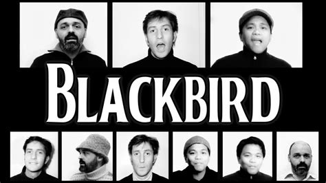 Blackbird (The Beatles) - A Cappella cover - YouTube