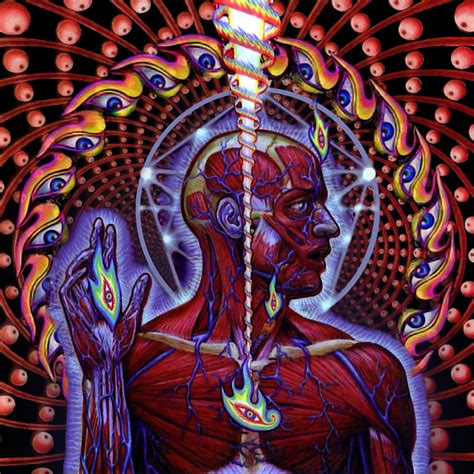 MUSICA&SOM: Disco Imortal: Tool – Lateralus (2001)