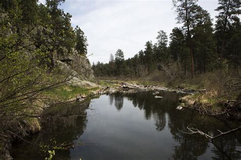 Scenic lake views on the Spring Creek Loop Trail | News | rapidcityjournal.com