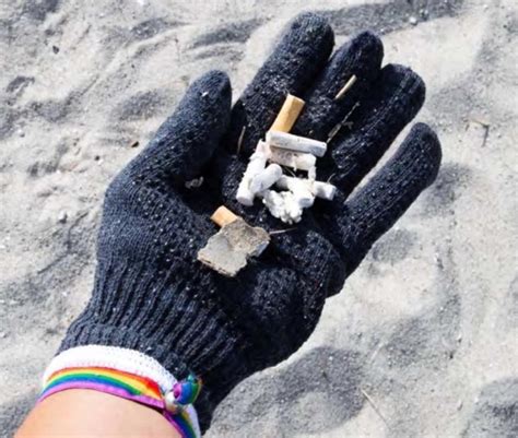 Startup Greenbutts develops biodegradable cigarette filters