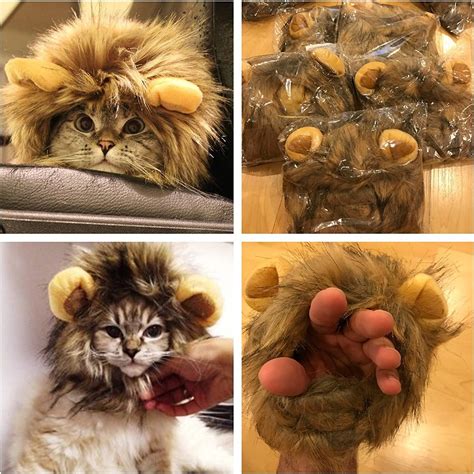 Lion Mane Cat Wigs For Halloween – barkermeow