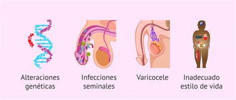 ¿Qué es la teratozoospermia? - Causas, tipos y tratamientos