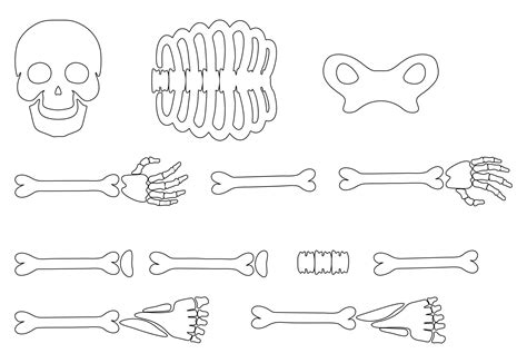 10 Best Large Printable Skeleton Template - printablee.com Life Size Skeleton, Skeleton Parts ...