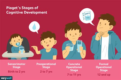 Piaget's 4 Stages of Cognitive Development Explained