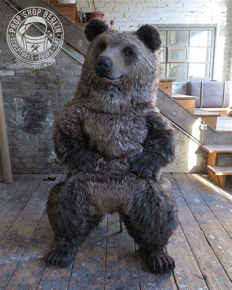 Realistic brown bear grizzly costume made by Karoline Hinz | Bear costume, Brown bear, Bear