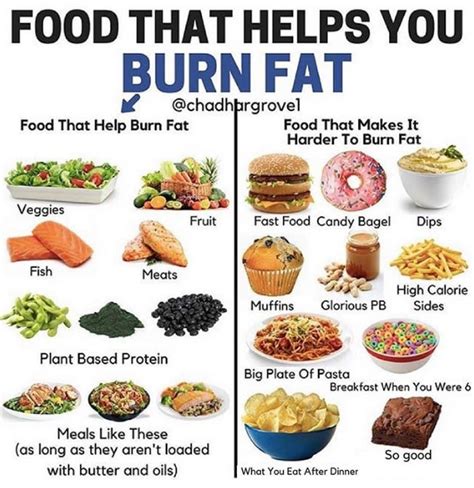 Fat-Loss Tips | POPSUGAR Fitness