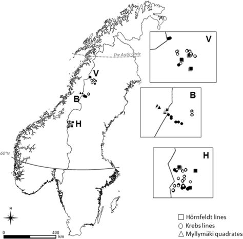 Spatial distribution in Norwegian lemming Lemmus lemmus in relation to the phase of the cycle ...