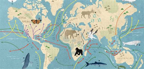 How we’re connecting the dots at the Convention on Migratory Species in 2020 | Species, Bird ...