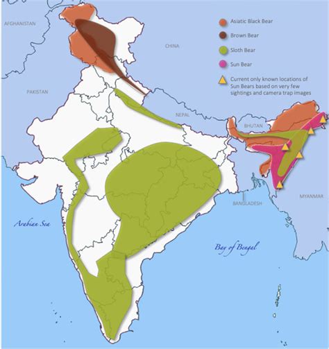 Approximate distribution range of the Asiatic black bear, brown bear,... | Download Scientific ...