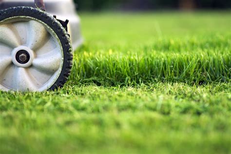 Follow These Lawn Mowing Tips to See the Best Results - Lush Lawn