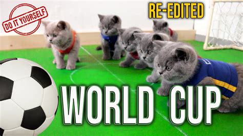 Cats Love Soccer ⚽️🏆 World Cup Cats REDUX 😂 Cute British Shorthair Kittens Playing Funny ...