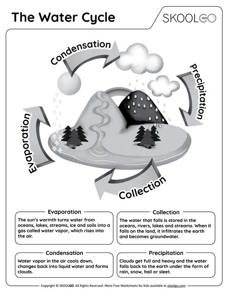 The Water Cycle - Free Worksheet - SKOOLGO