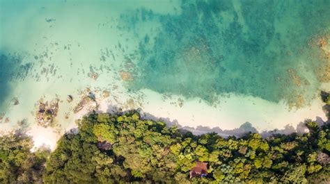 Premium Photo | Aerial view of tropical beach on the island