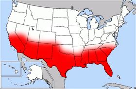 The Rust Belt to the Sun Belt Migration | History & Significance ...