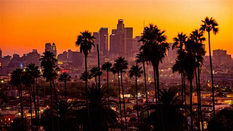 Los Angeles Sunset With Palm Trees 4k Wallpaper