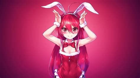 Bunny Girl Anime PC Wallpapers - Wallpaper Cave