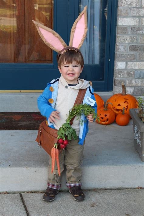 peter rabbit costume | Book day costumes, Book character day, Book costumes