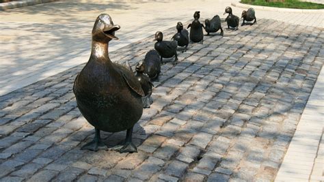 Don't Get Your Ducks In A Row - The Marketing Sage