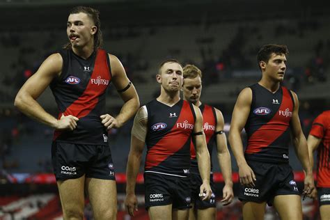 Malthouse claims Bombers hold premiership credentials - AFL News - Zero Hanger