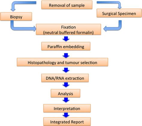 Guidance for laboratories performing molecular pathology for cancer ...