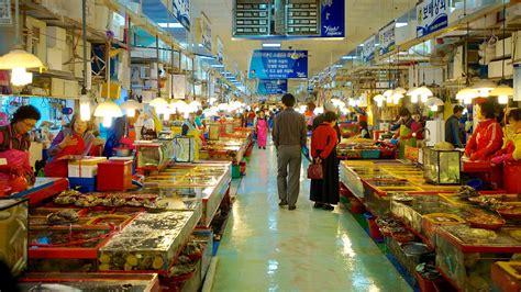 Jagalchi Fish Market - Busan | This Is Korea Tours